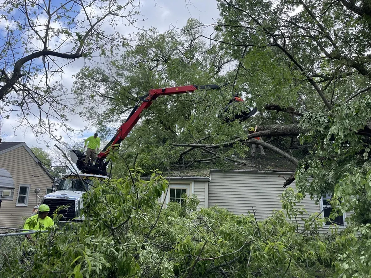 Workers in bright yellow high-visibility gear use a red crane to remove a large fallen tree from a house roof.