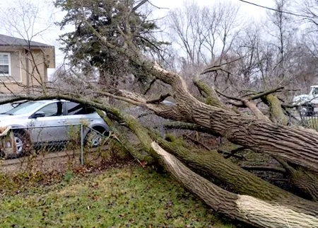 Fallen tree on car; gray sedan under broken branches, near house and road.