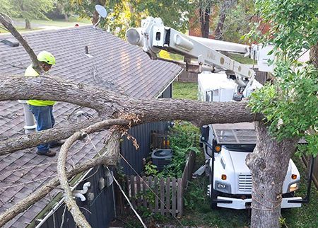 A man is standing next to a tree that has fallen on a house.