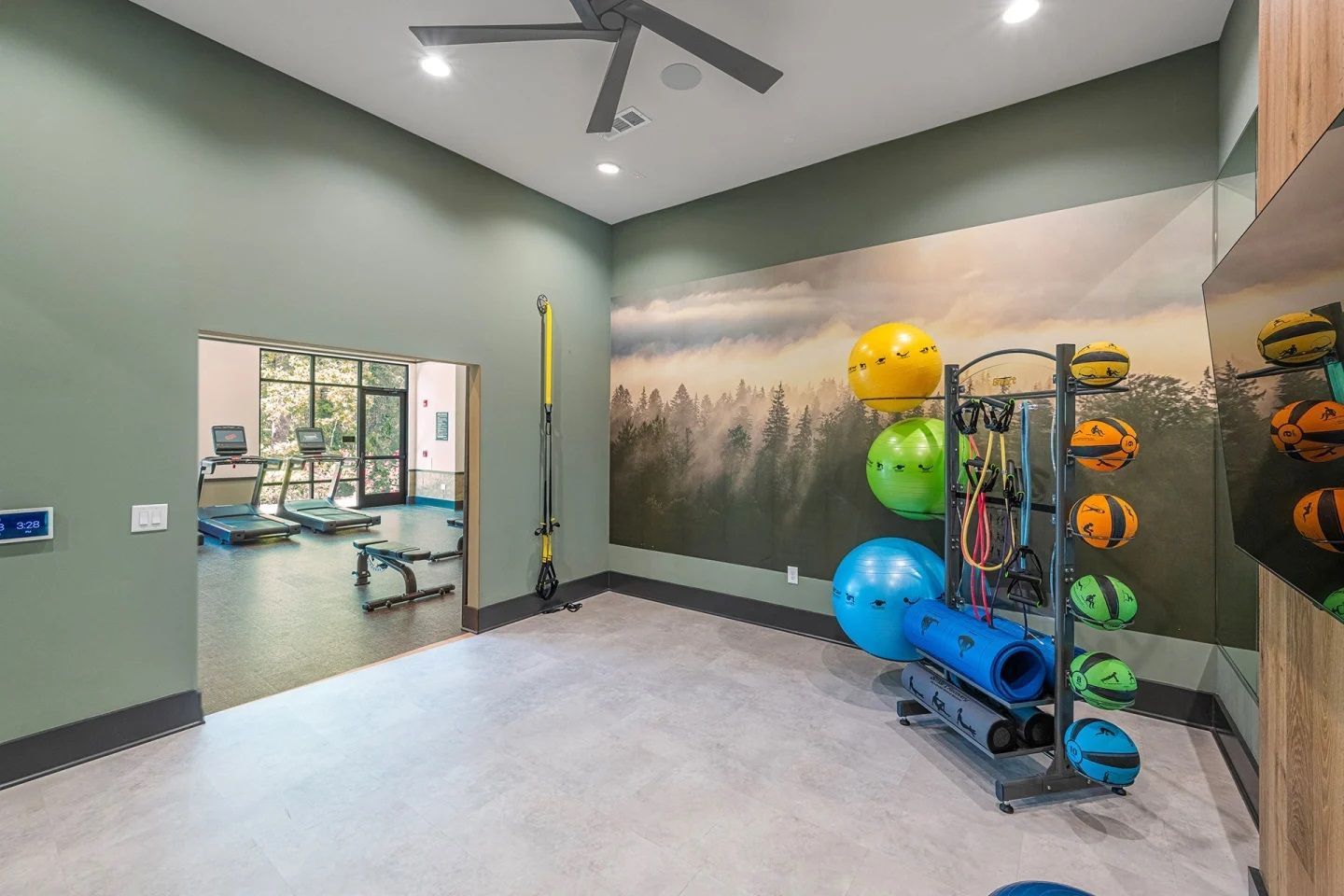 A gym with a picture of a forest on the wall
