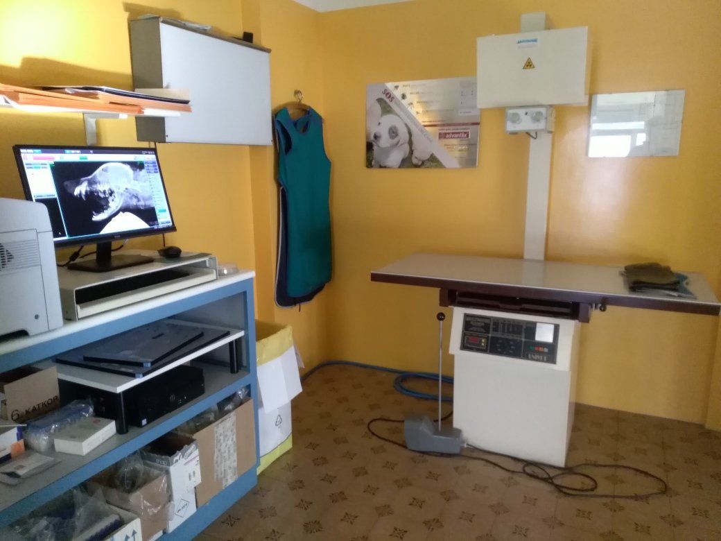esami radiografici