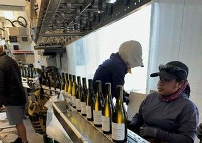Workers on a wine bottling line. Bottles move on a conveyor belt, some workers are visible.
