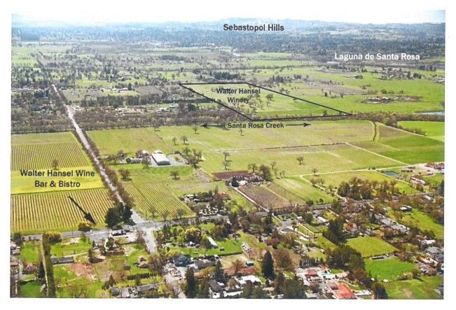Aerial view of Sebastopol, California, showing vineyards, buildings, open fields, and the Laguna de Santa Rosa.