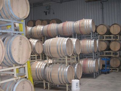 Wine barrels stacked on metal racks inside a cellar.