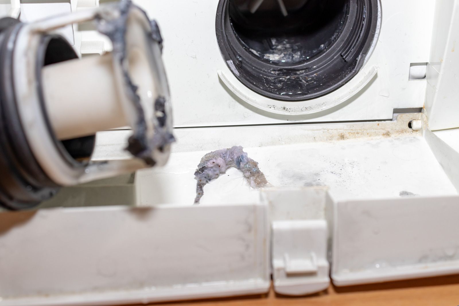 Close-up of a washing machine drain hose and circular opening with visible grime and mold stains.