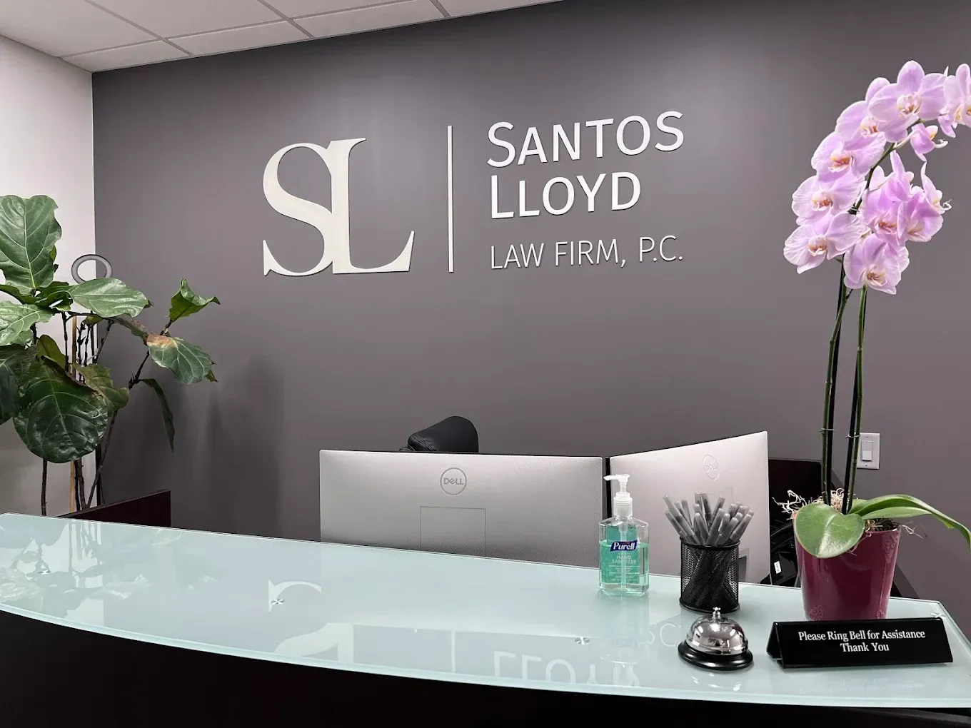 The reception area of Santos Lloyd Law Firm, featuring a gray wall with white logo, a glass desk, and a potted orchid.
