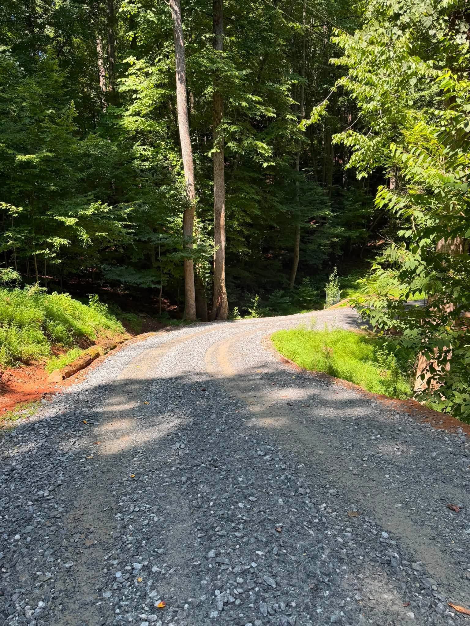 Gravel road curving through a sunlit green forest