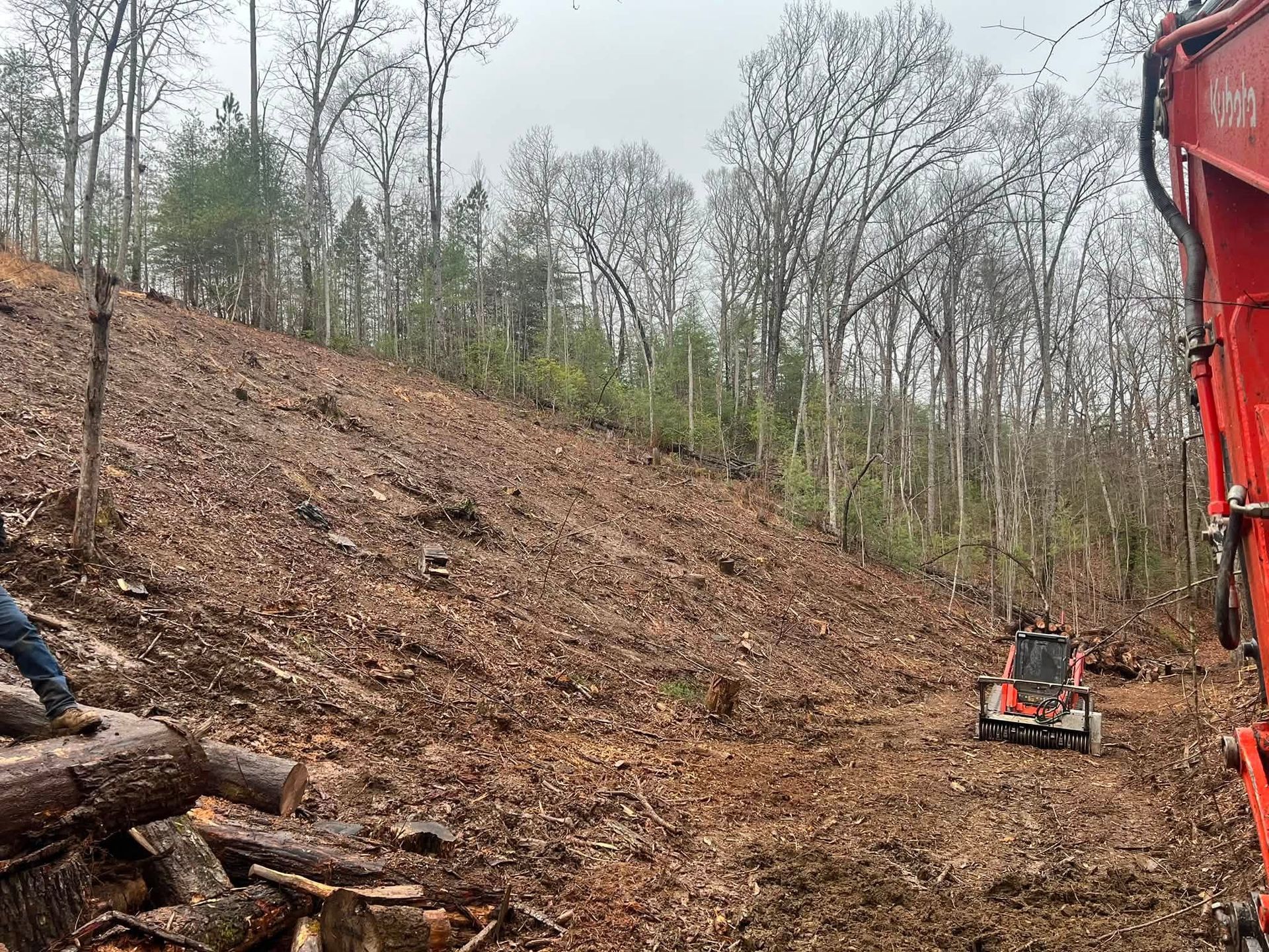 Logging site with a steep pile of cut wood, a small orange excavator, and trees in the background