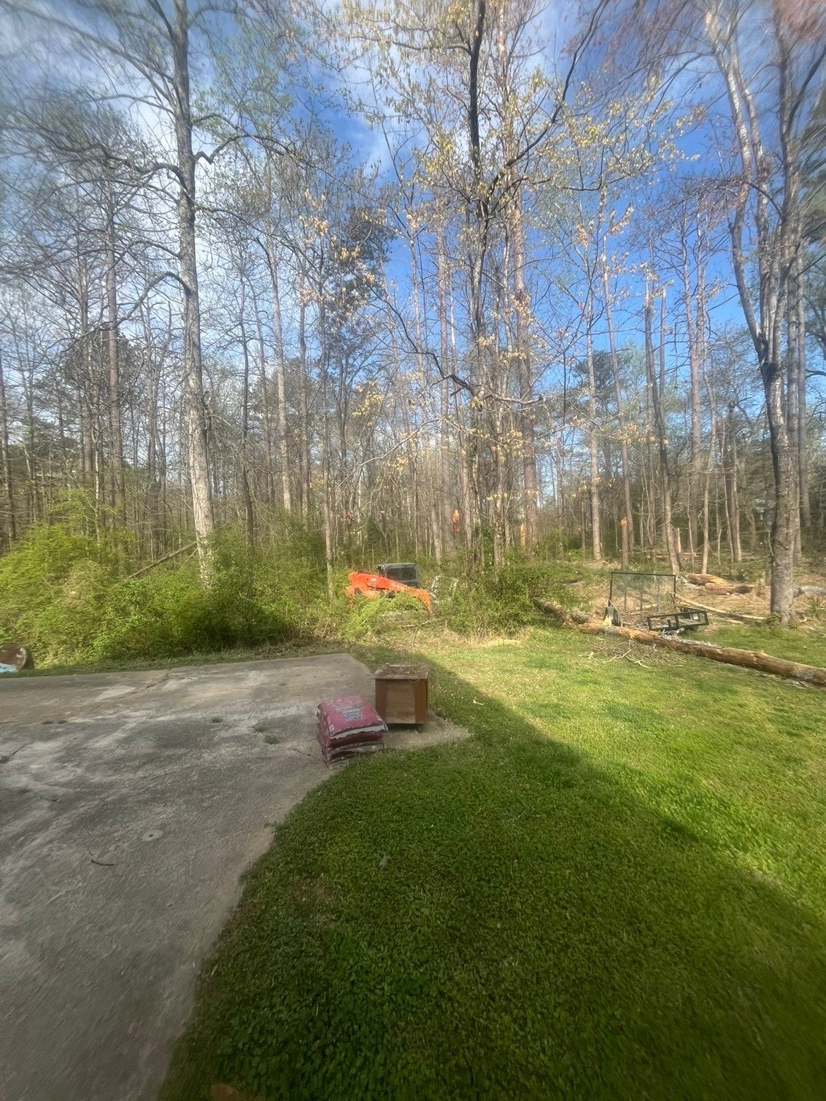 Wooded backyard with a concrete patio, green lawn, and a red wheelbarrow near the edge.