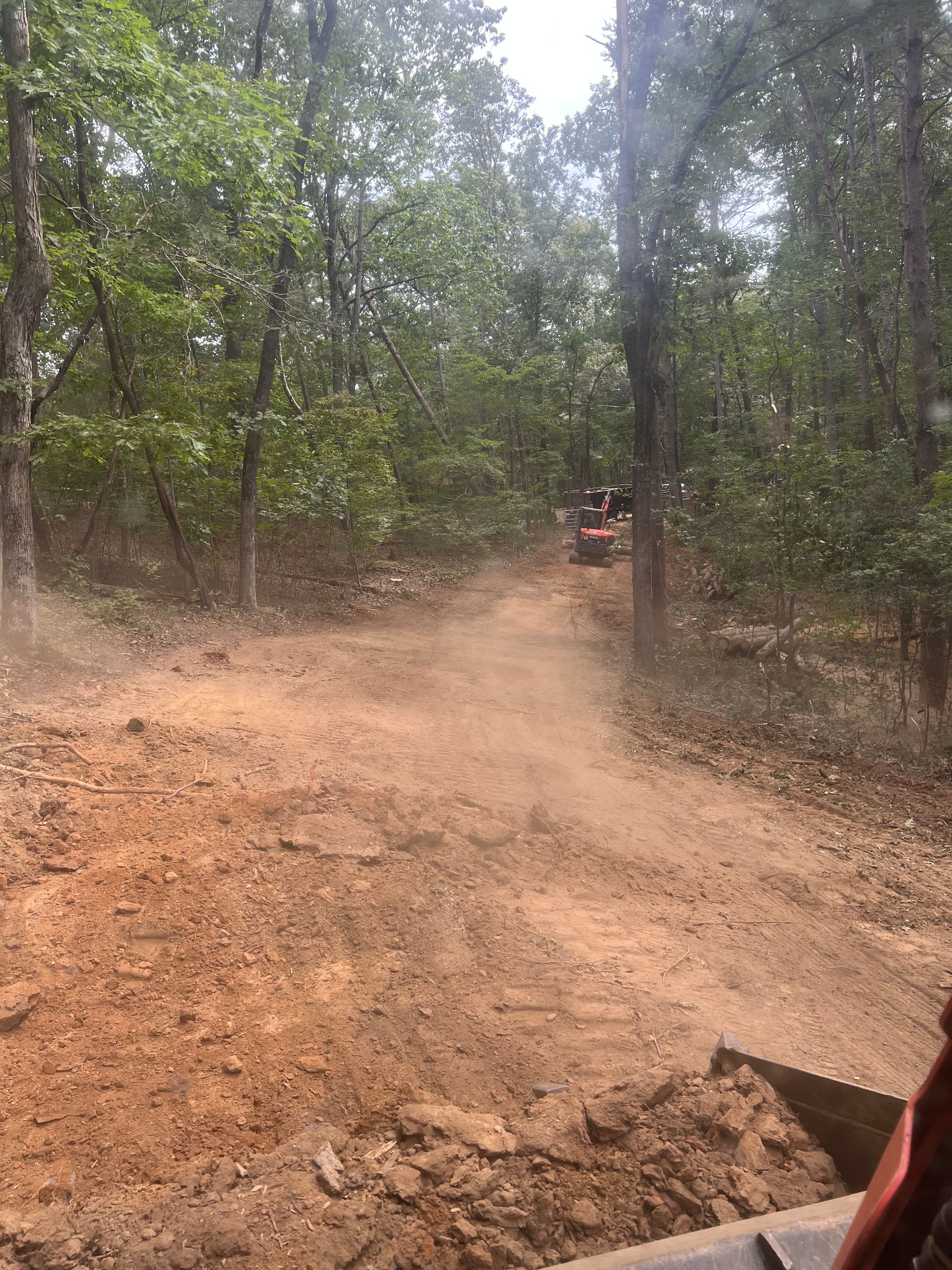 Dirt road through dense forest with dust hanging in the air and a vehicle in the distance