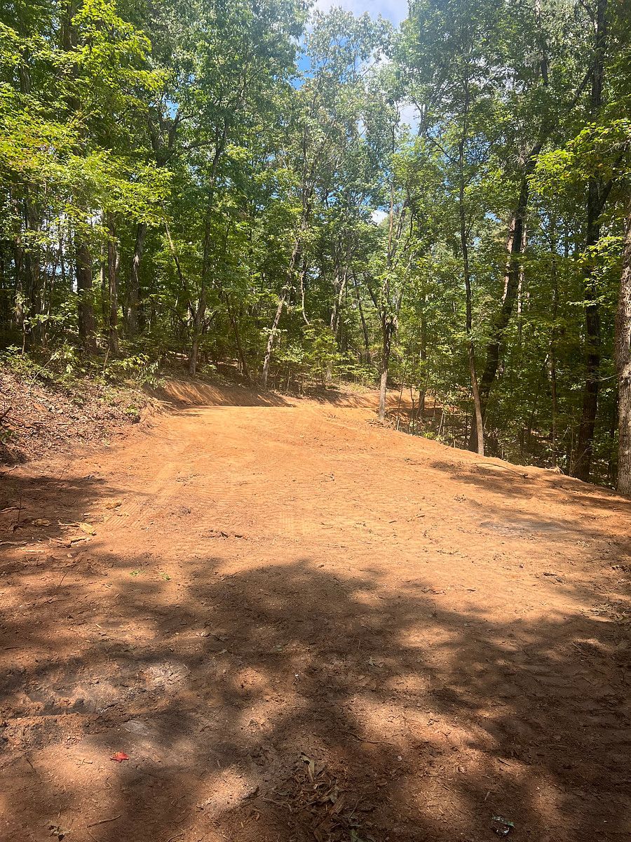 Dirt trail through a sunlit wooded forest with trees and dappled shadows