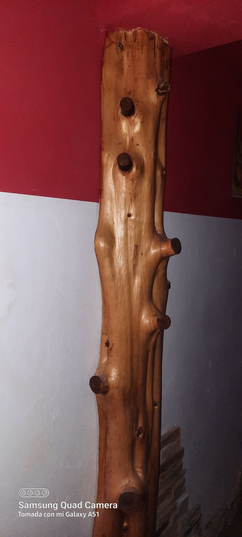 A wooden stick with nails in it is hanging on a wall.