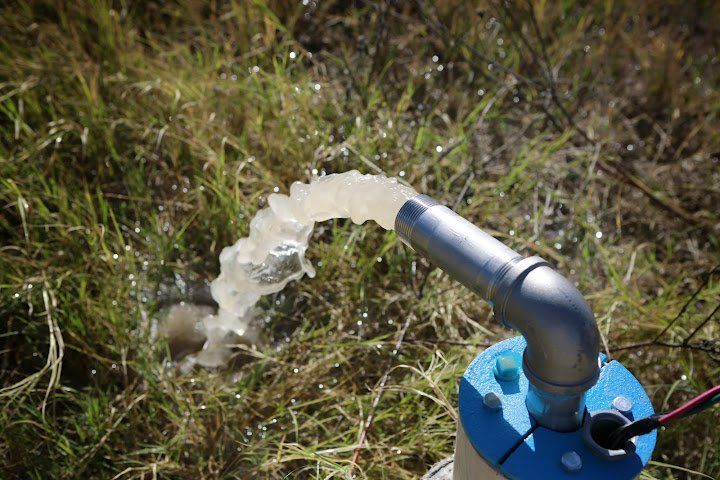 Water is coming out of a pipe in the grass.