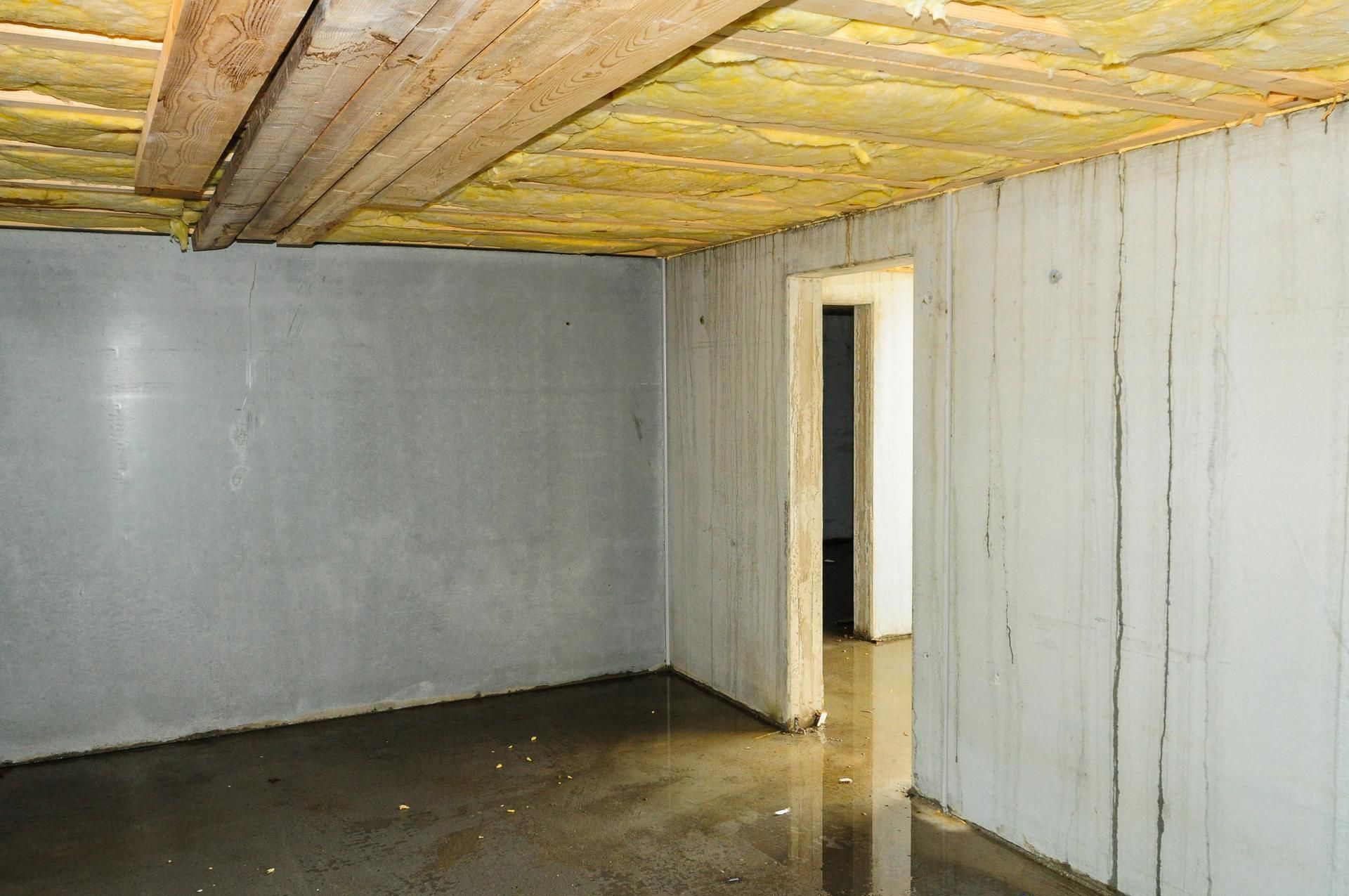 A flooded basement with concrete walls and a wooden ceiling.