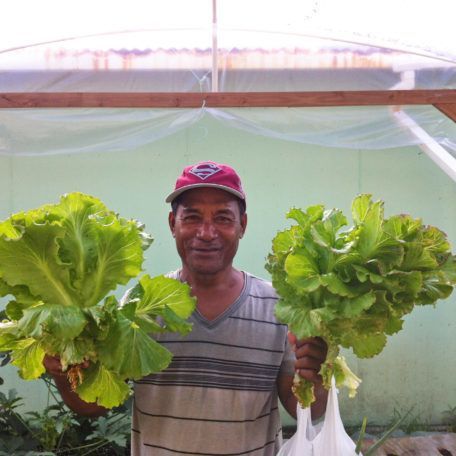 A man in a red hat is holding a bunch of lettuce