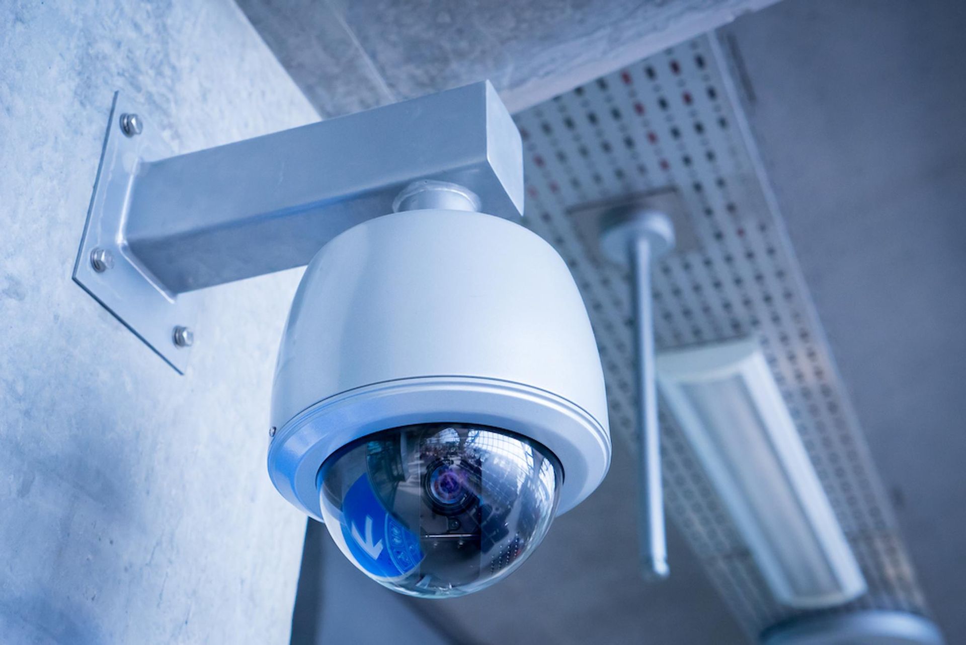 Installed Dome Security Cameras In Dubbo