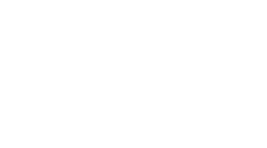 VDBW Logo VDBW Logo