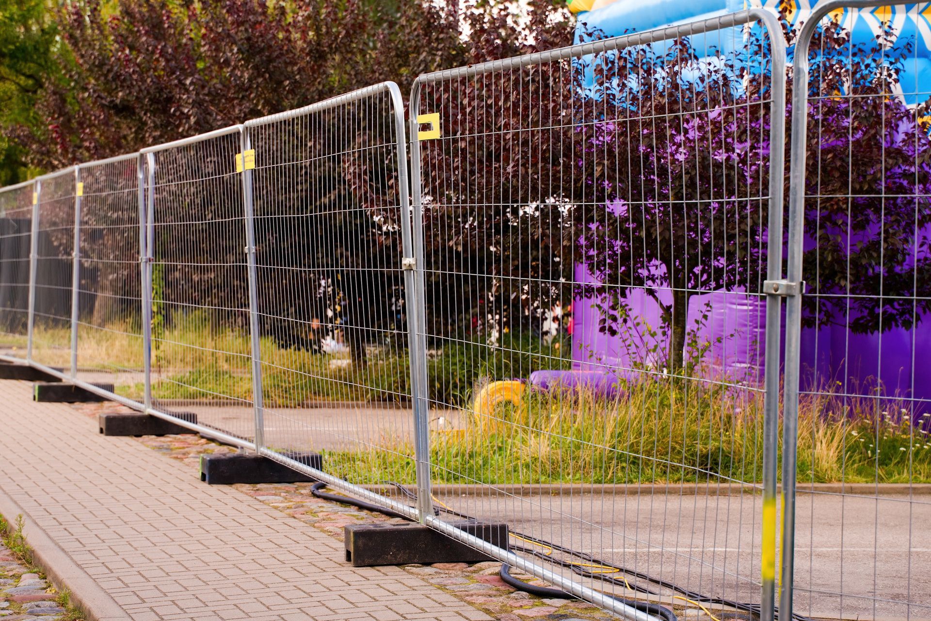 Temporary metal fencing along a paved sidewalk beside purple flowers and trees