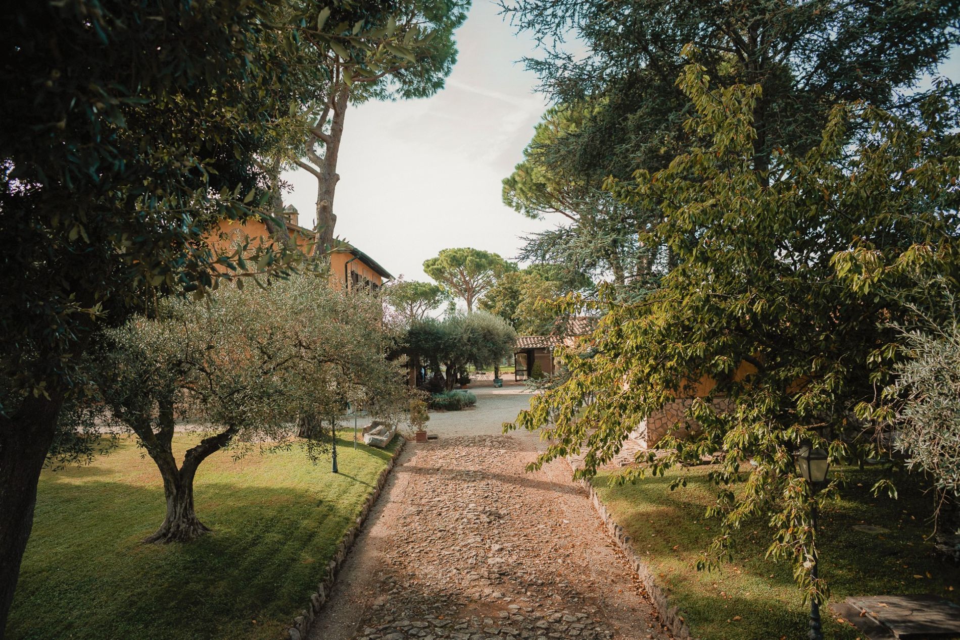 Un sentiero in pietra attraversa gli alberi e conduce agli edifici.