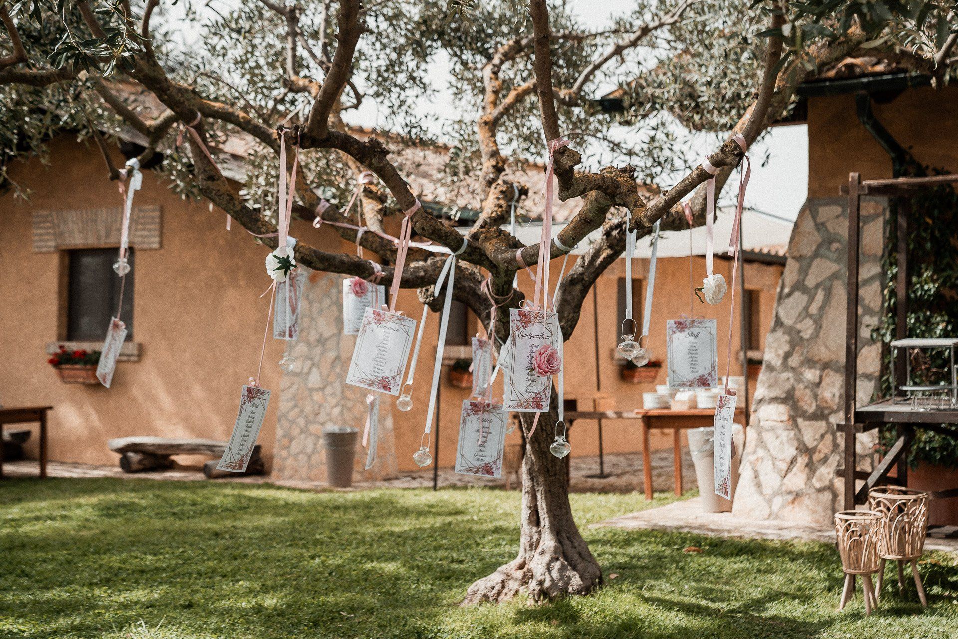 Un albero decorato con sacchetti e nastri appesi in un cortile erboso, con un edificio sullo sfondo.