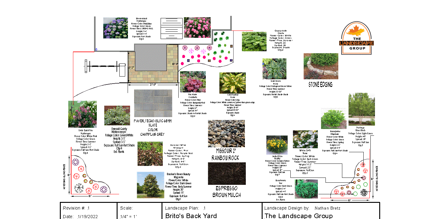 A collage of pictures of different types of plants on a white background.
