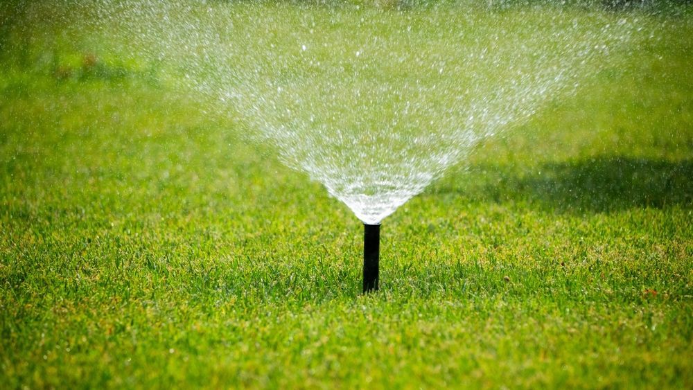 A sprinkler is spraying water on a lush green lawn.