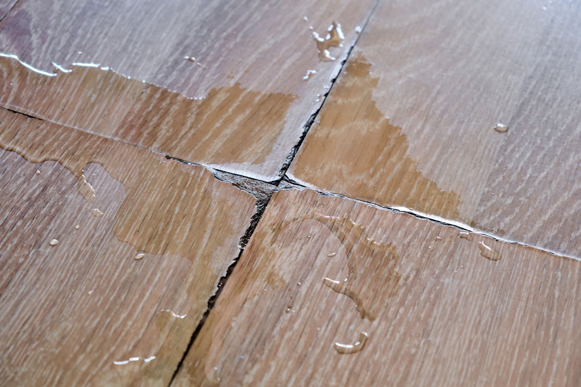 Close-up of cracked wood floor with water leaks and visible moisture pooling.