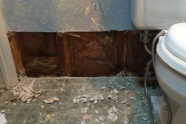 A bathroom with a toilet and a hole in the wall. Bathroom wall with exposed wood framing, insulation, and toilet. Debris on floor.