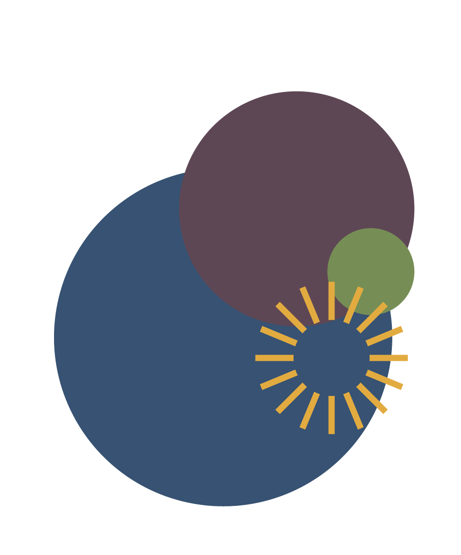 A blue circle with a yellow circle in the middle on a white background.