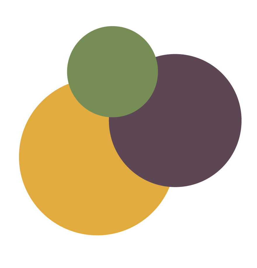 Three circles of different colors are connected together on a white background.