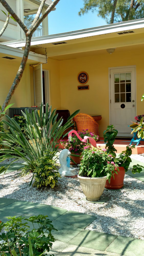 Sunlit yellow house porch with potted plants, a white door, and a small tree in front