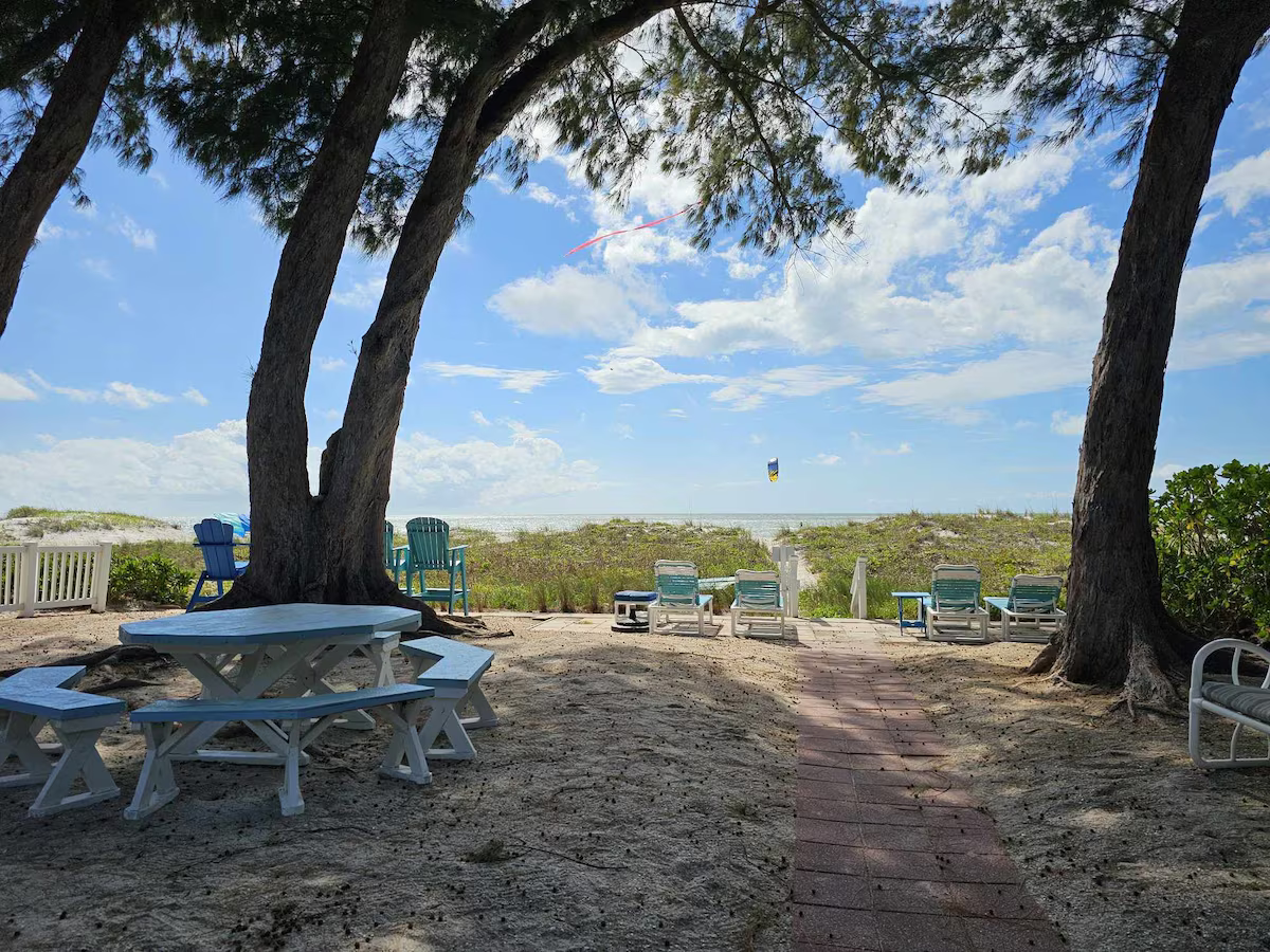 Shaded beach picnic area with blue tables under trees, overlooking a sandy shore and ocean under a partly cloudy sky