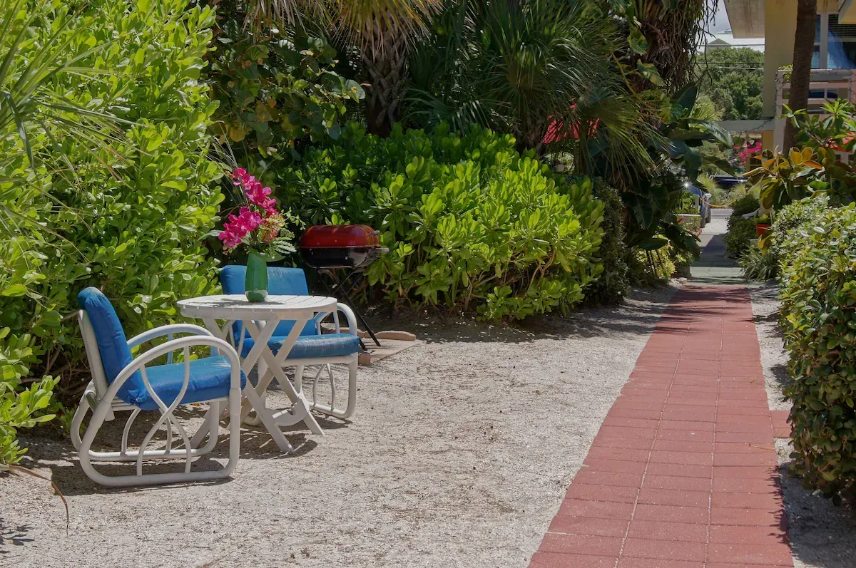 Blue chairs beside a gravel path and red walkway in a sunny garden with lush greenery and flowers