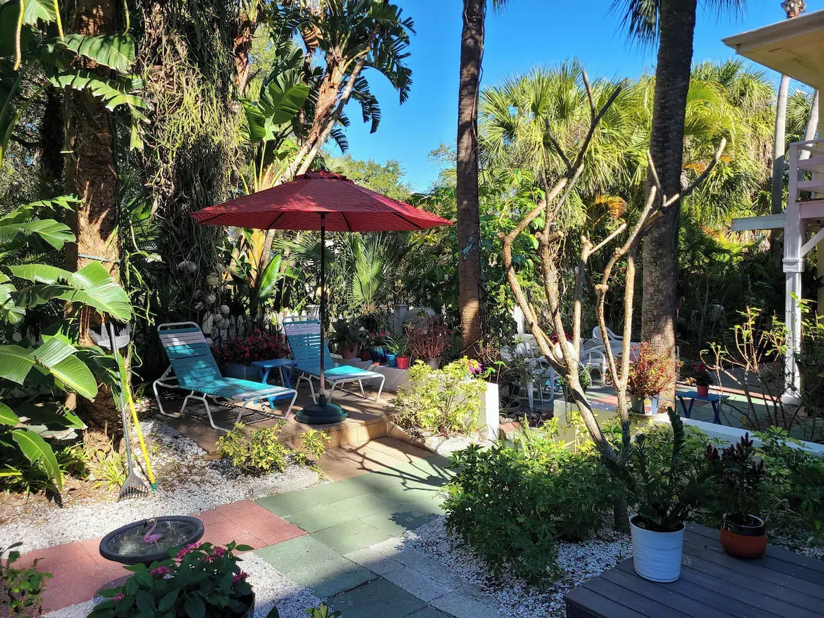 Sunny garden patio with red umbrella, lounge chairs, and lush tropical plants under tall trees