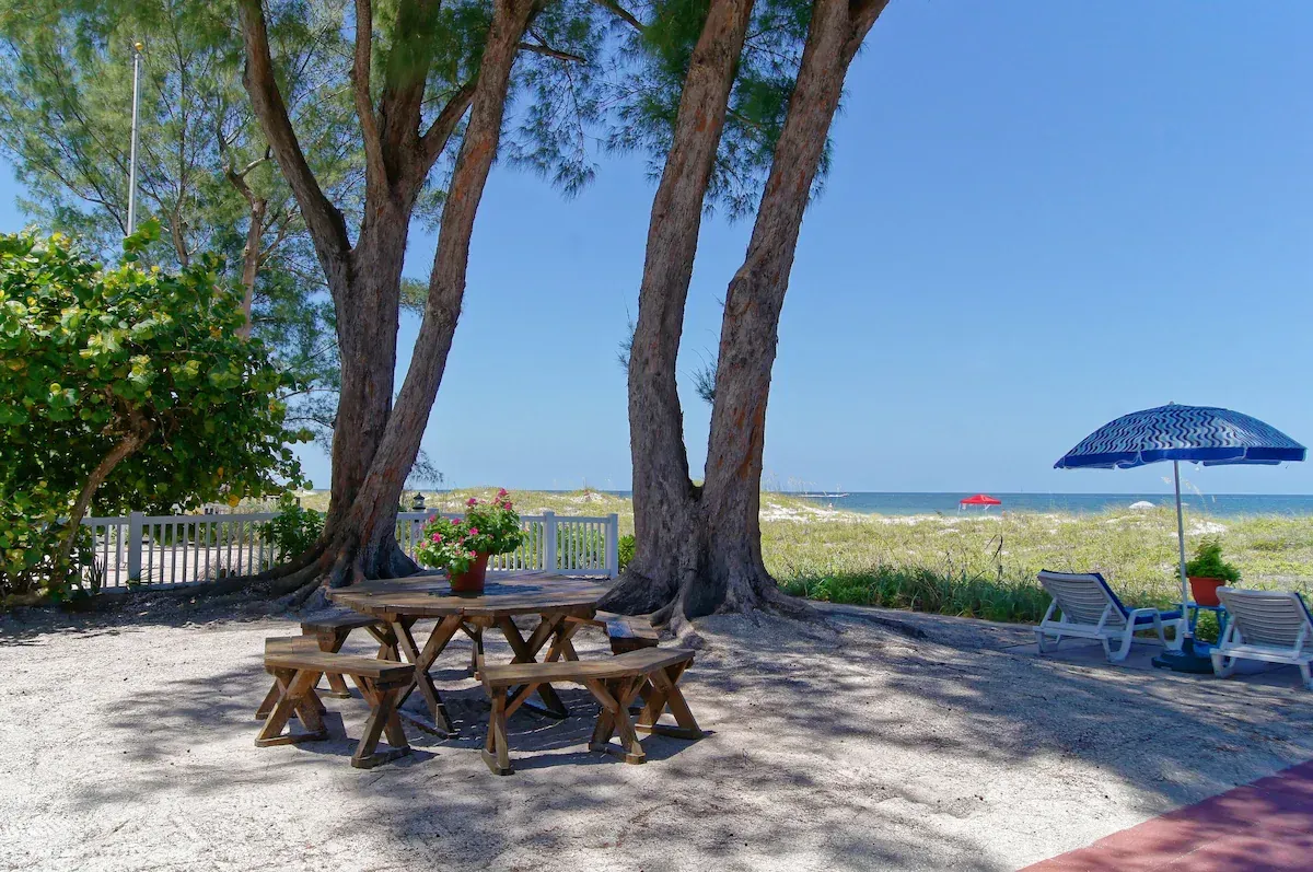 Shaded beach picnic tables under tall trees beside a sandy shore, with blue umbrella and ocean beyond