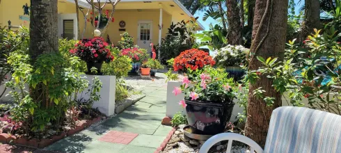 Sunny garden patio with potted flowers, palm trees, and a yellow house in the background