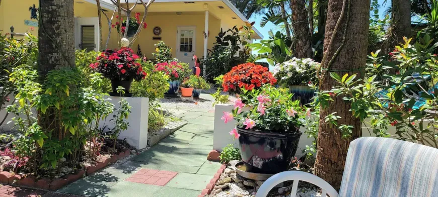Sunlit garden path with colorful flowers, potted plants, and a yellow house in the background