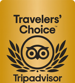 Tripadvisor Travelers’ Choice award badge with gold background and black laurel wreath logo