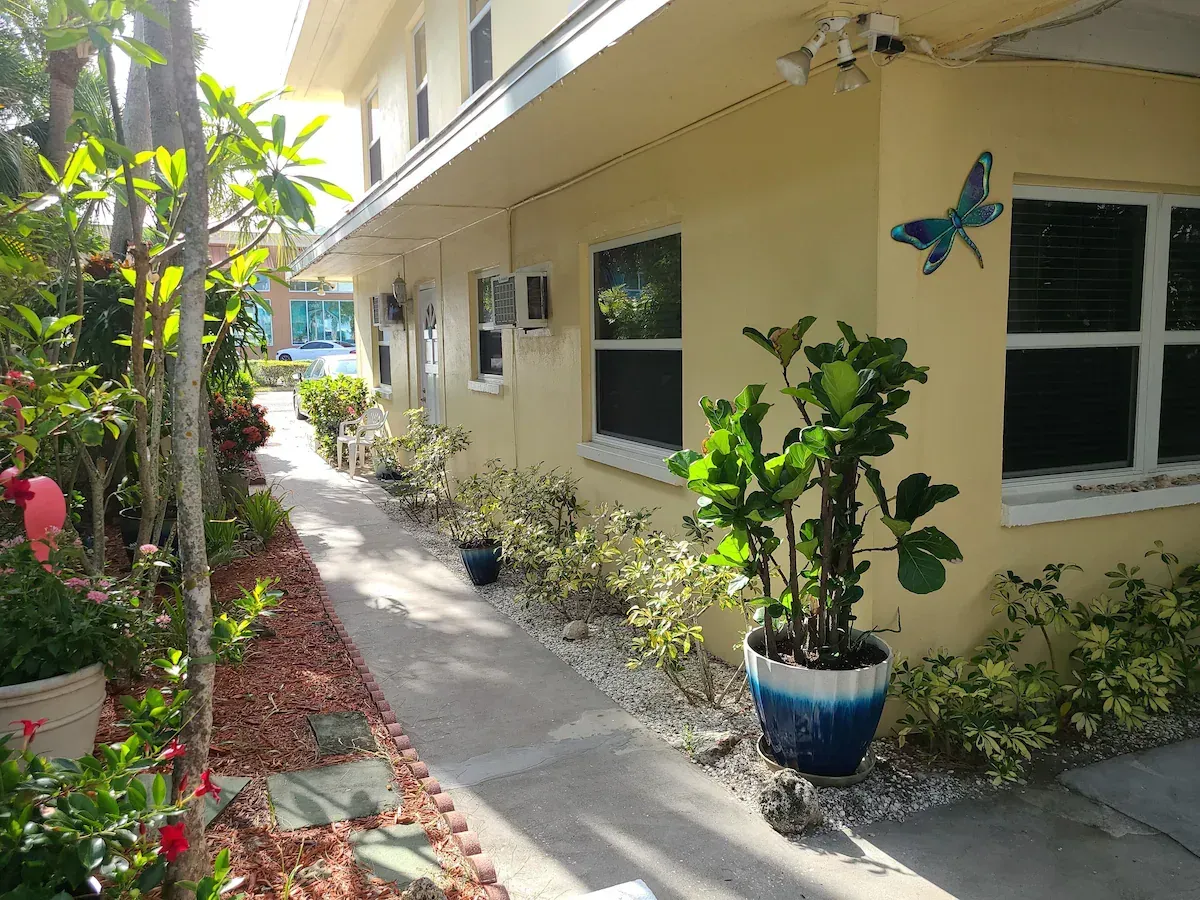 Narrow walkway beside a cream building with windows, plants, and a blue pot; butterfly wall art near the entrance