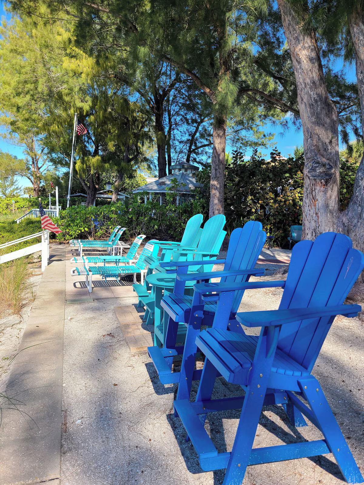 Row of bright blue Adirondack chairs along a sunny garden path with trees and white fence