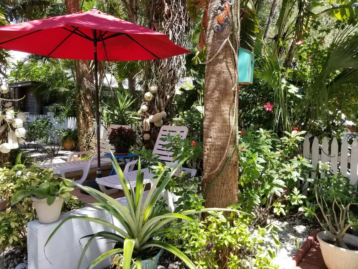 Lush garden patio with a red umbrella, potted plants, and white picket fence under palm trees