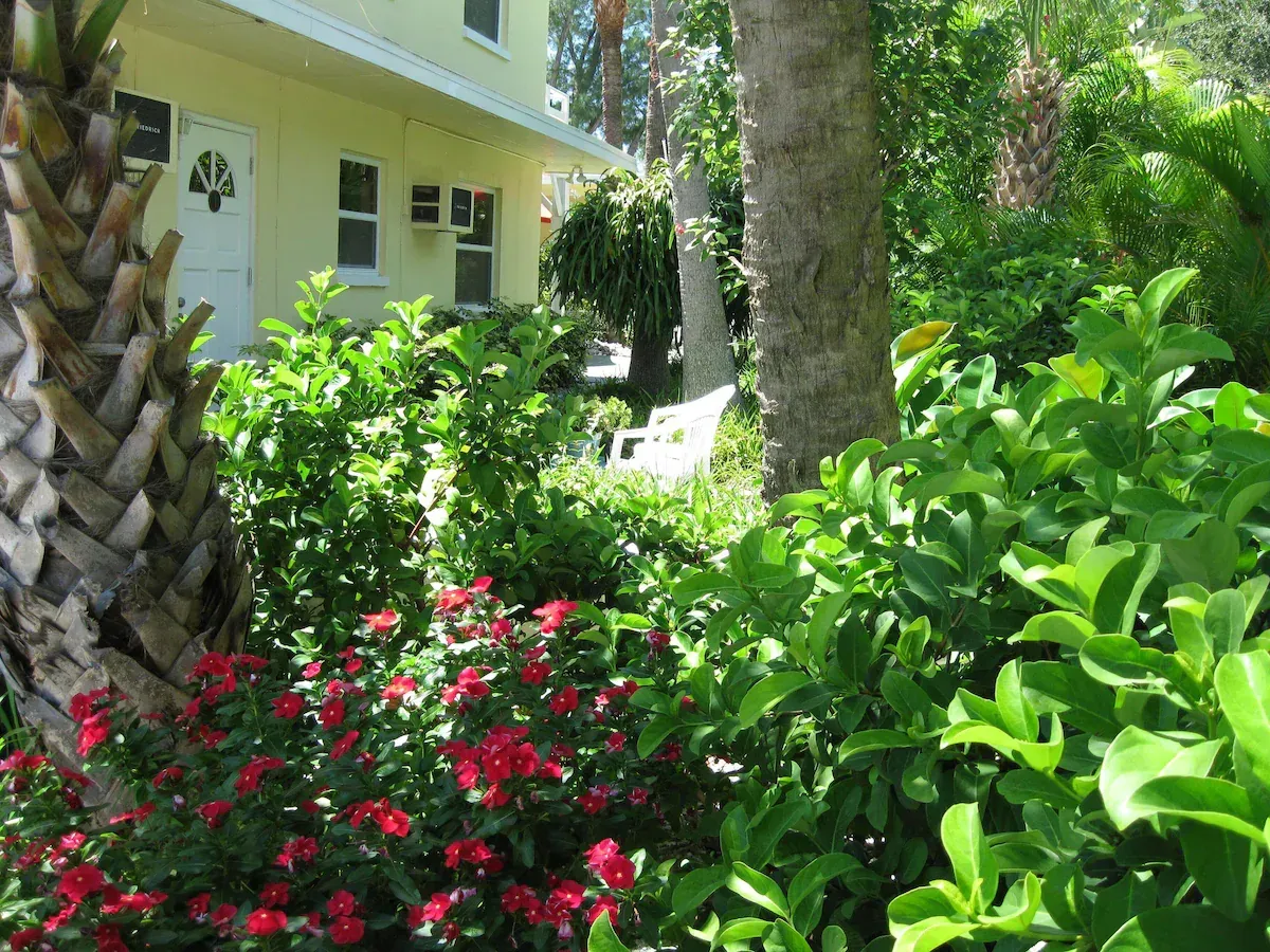 Lush garden with red flowers, green shrubs, palm trees, and a yellow house in the background