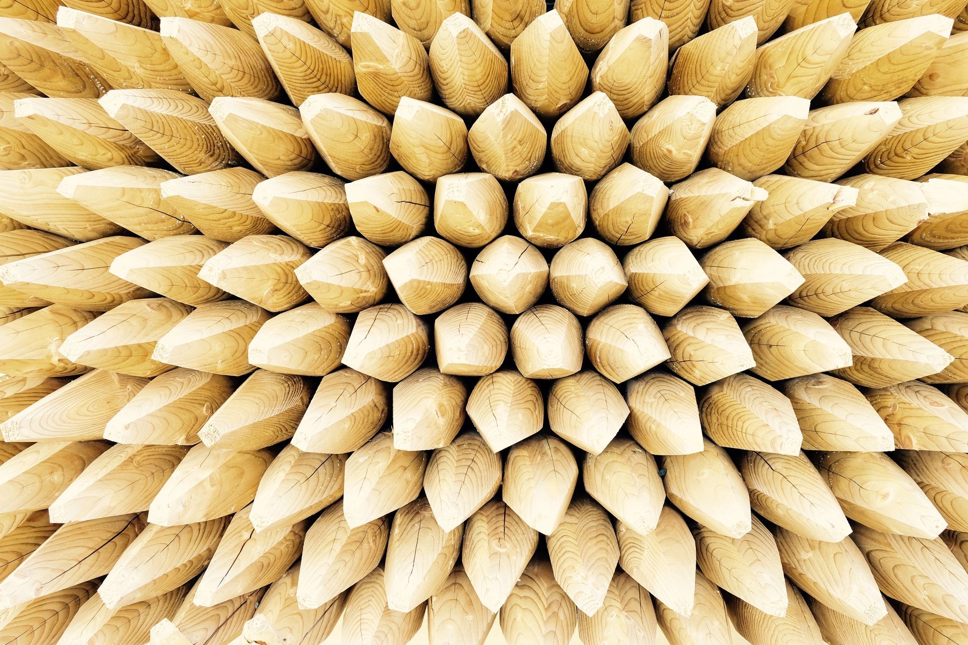 A close up of a bunch of wooden sticks arranged in a circular pattern.