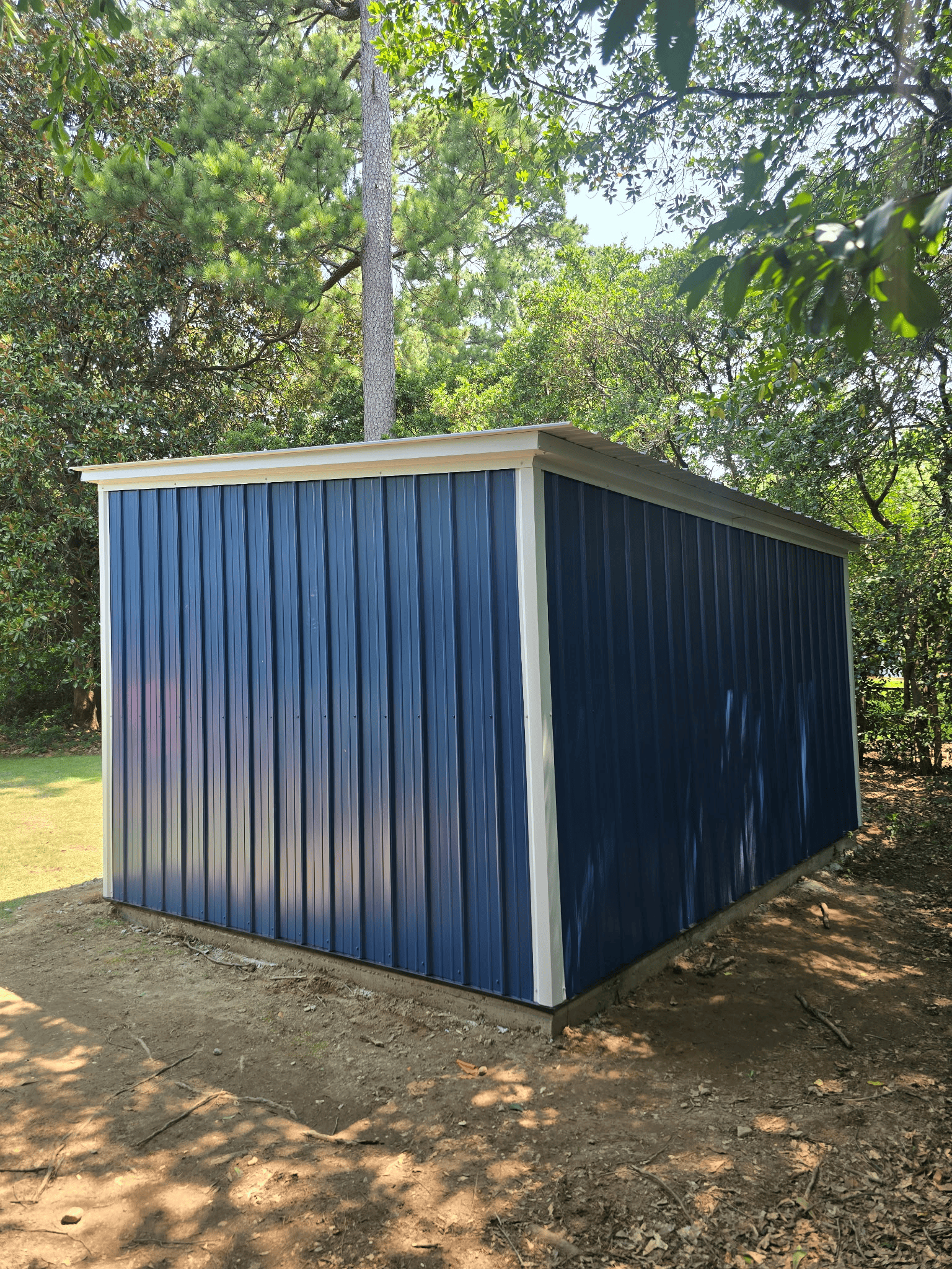 Blue metal shed with a light roof in a grassy, tree-shaded yard
