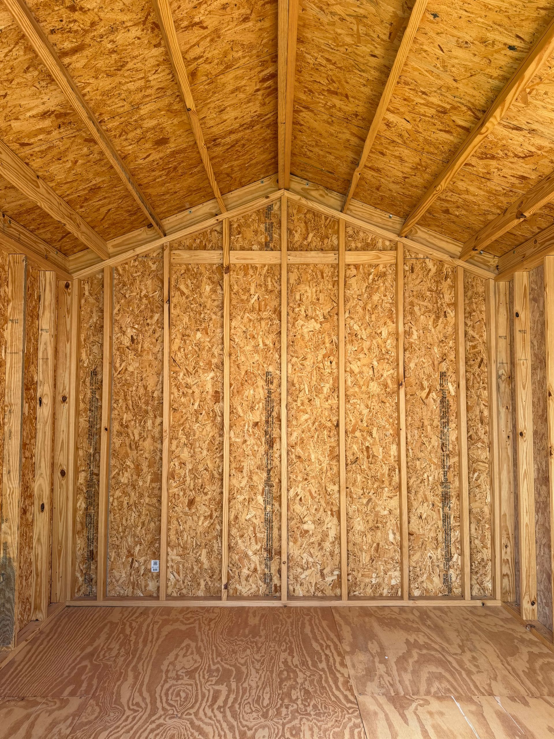 Empty unfinished wooden shed interior with exposed studs, OSB walls, and a plywood floor.