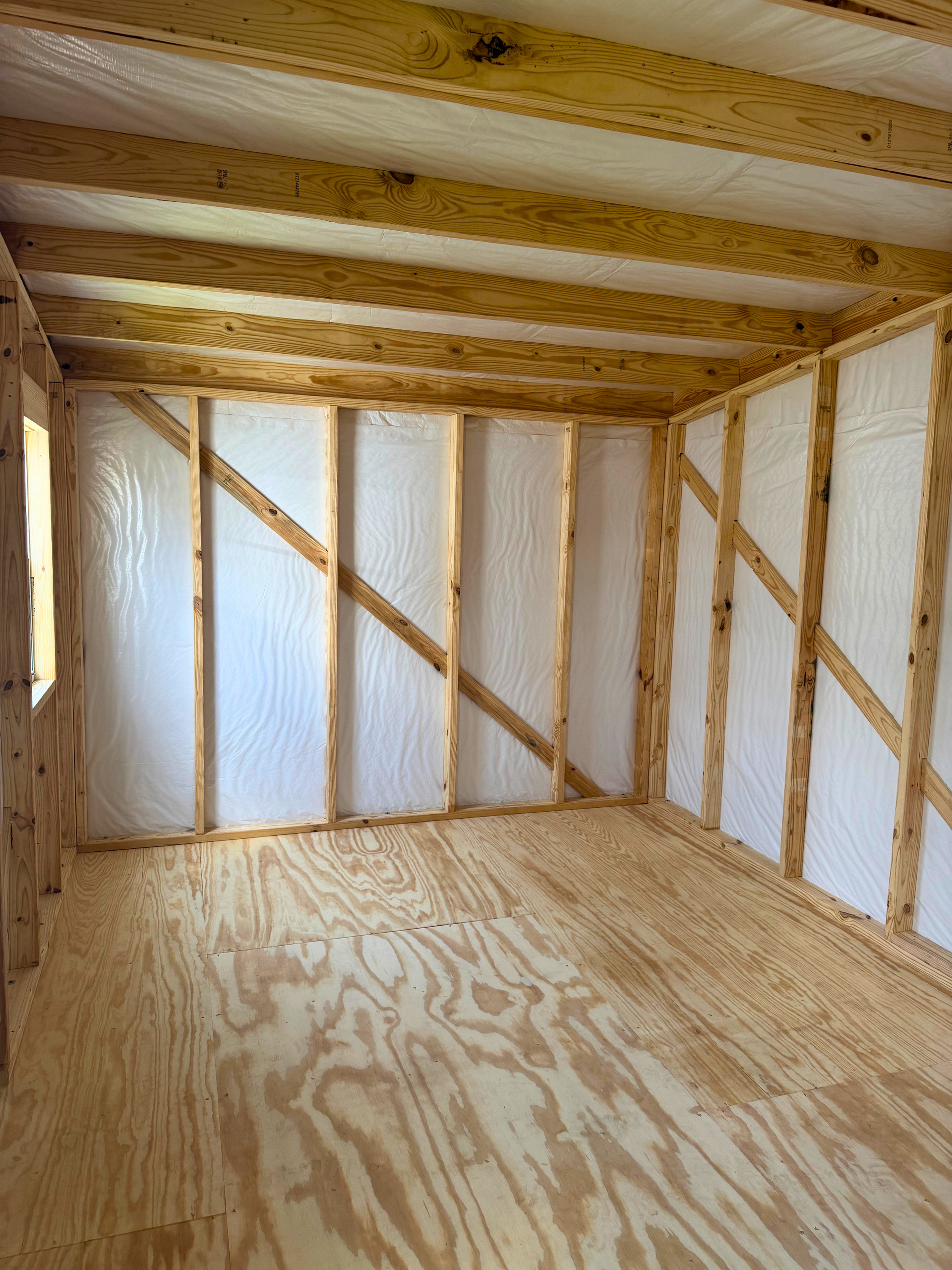 Empty wooden shed interior with plywood floor, framed walls, and translucent white wall panels.