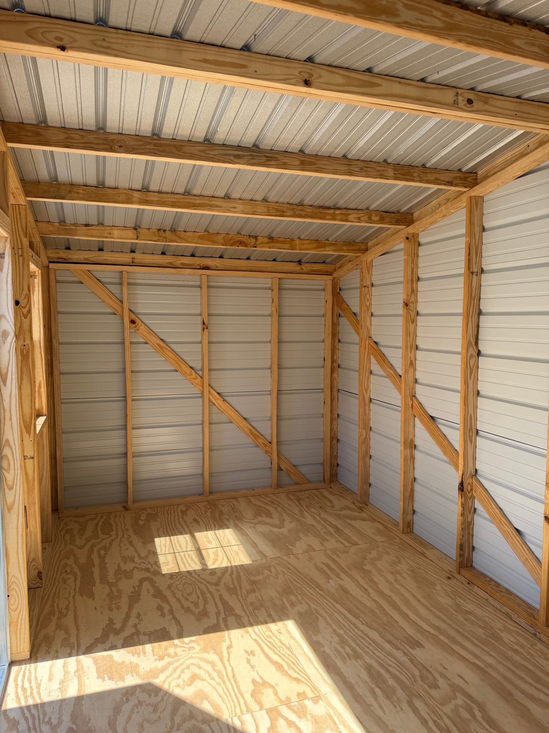 Empty wooden shed interior with plywood floor, exposed framing, and sunlight on the floor