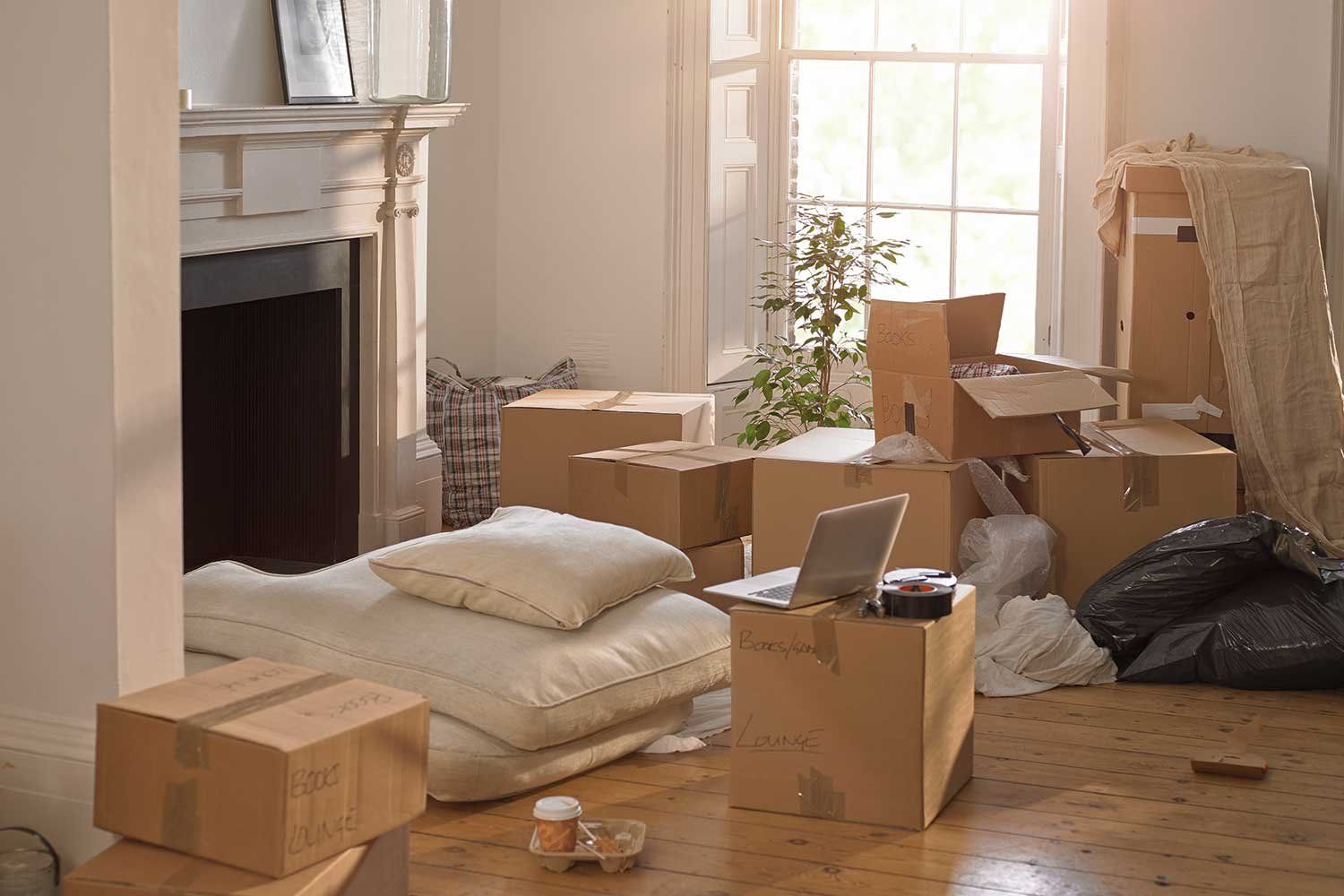 A Living Room Filled with Cardboard Boxes and A Laptop — Leader Removals & Storage in Canberra, ACT