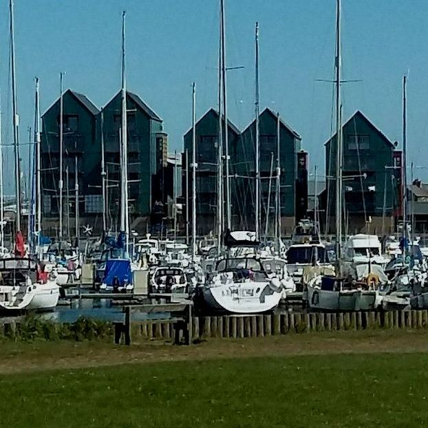 Good Doog Walking Client Registration and Login Area