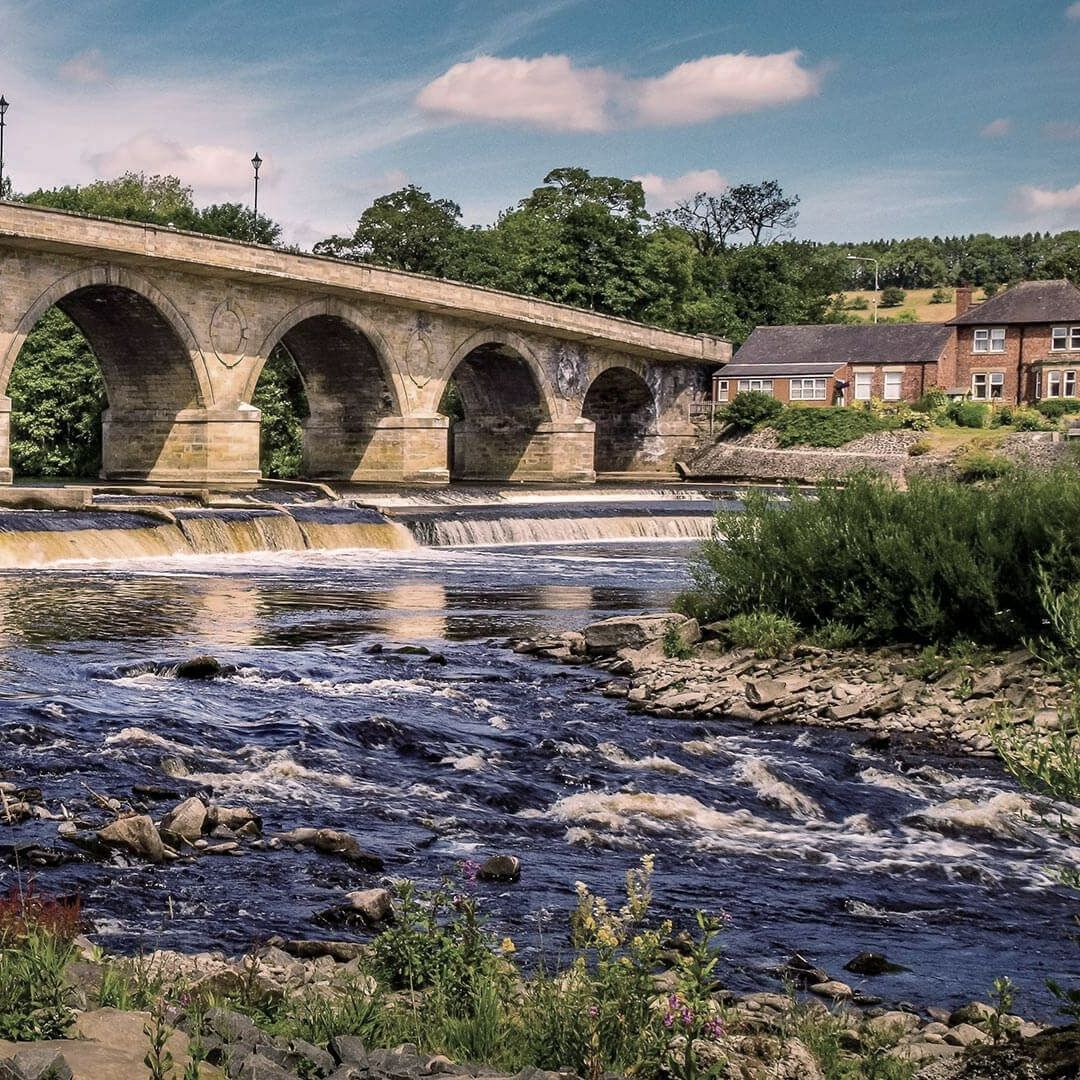 Good Dog Walking Services in the Hexham area